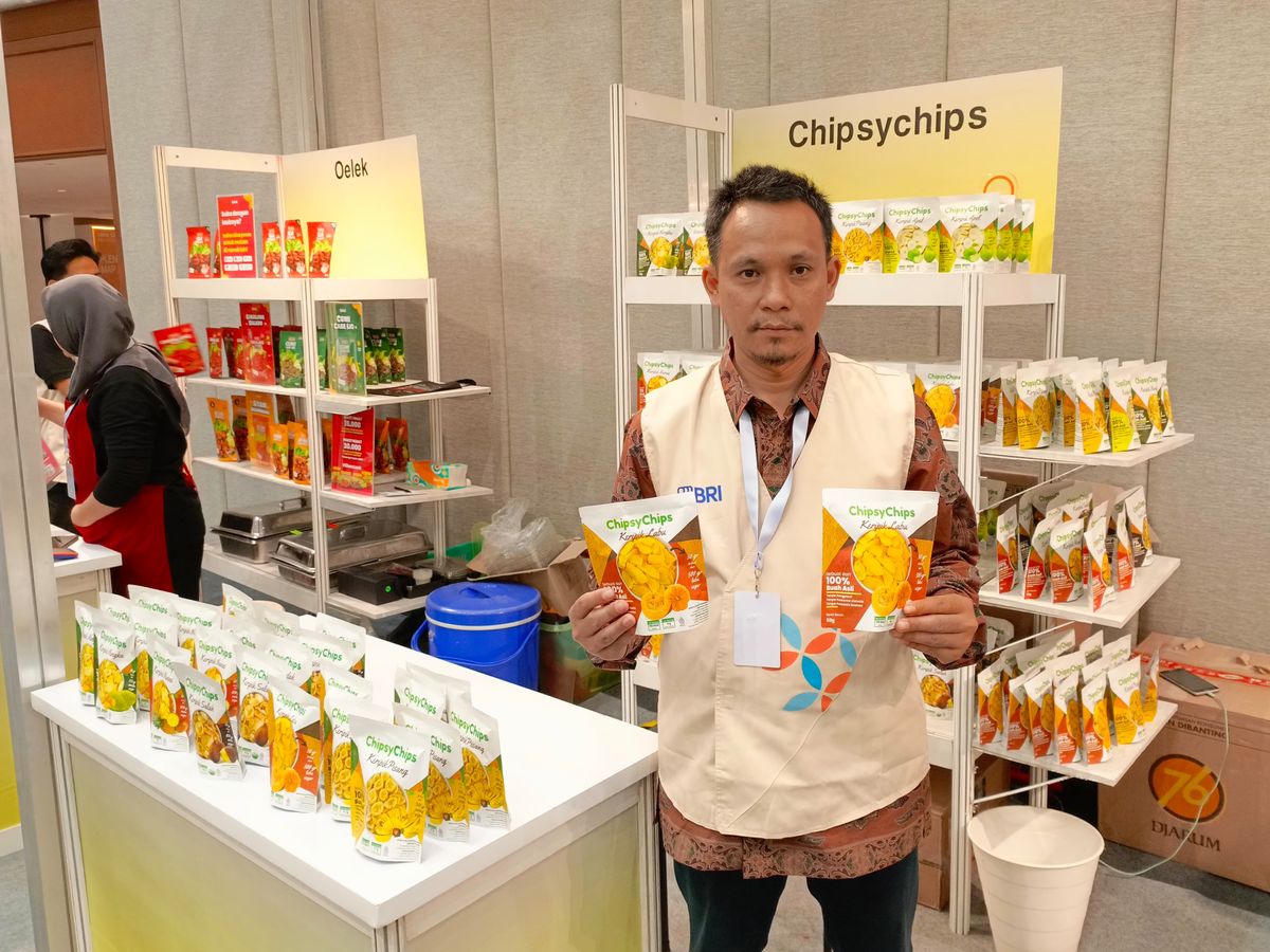 Program Pemerintah Bantuan Usaha Keripik Peluang UMKM